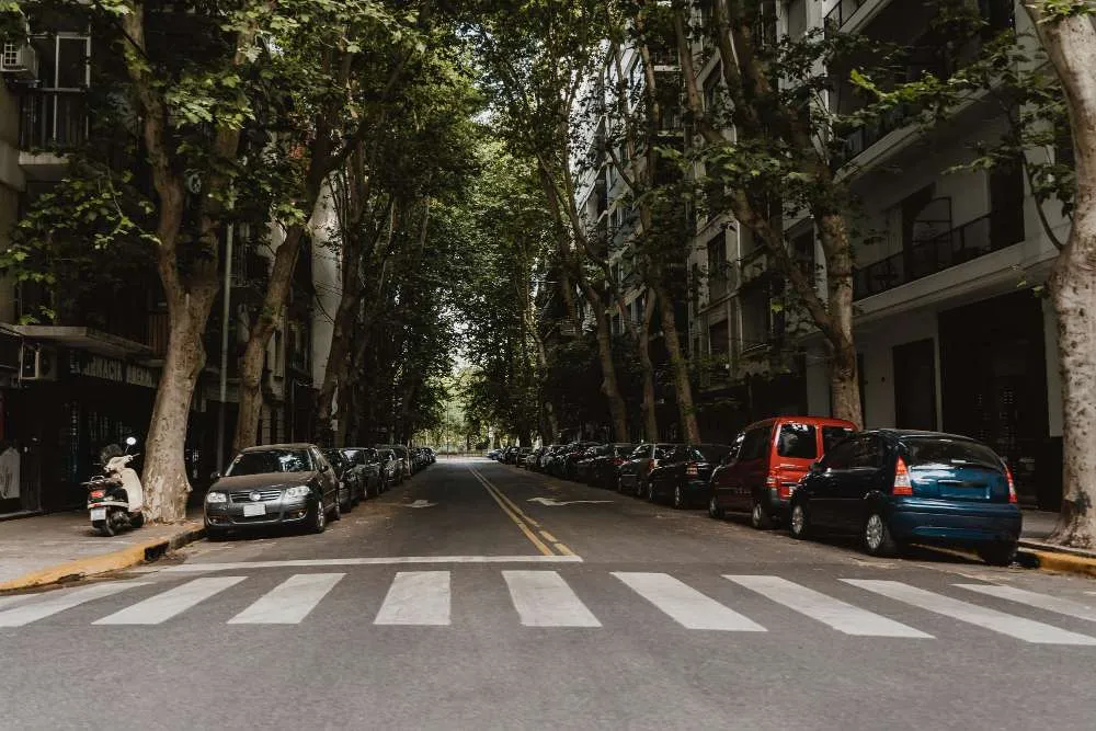 Wie gestaltet man eine Parkzone in der Stadt? Ansicht einer Stadtstraße mit Zebrastreifen und parkenden Autos