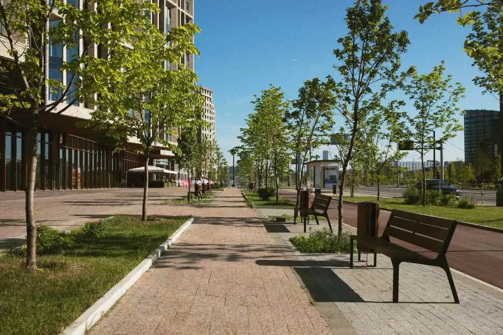 Stedelijk landschap met banken en aangeplante bomen
