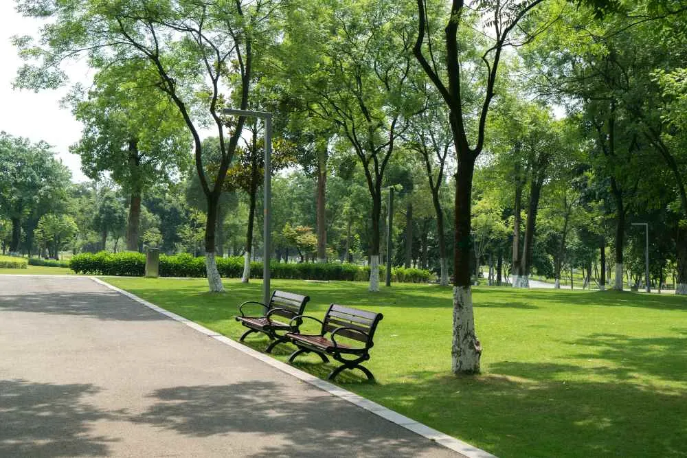 Stadspark met twee banken