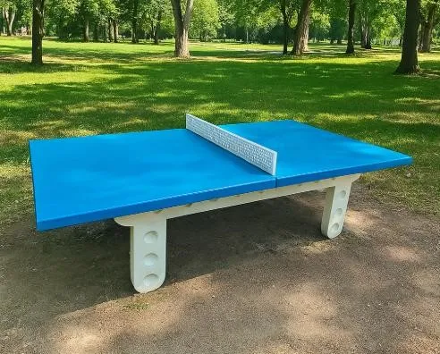 Table de ping pong