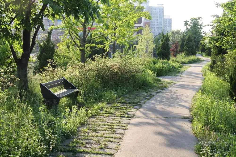 Öffentlicher Park