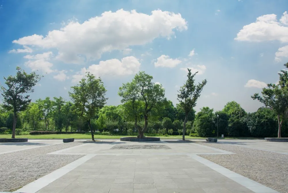 baumbestandener Park